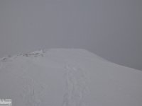 2018-01-13 M. Orsello 265
